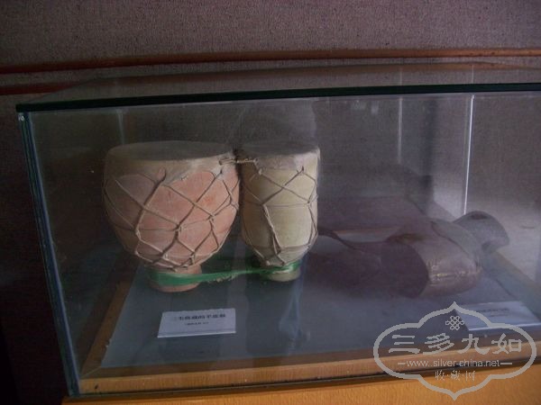 100_0847_nEO_IMG.jpg