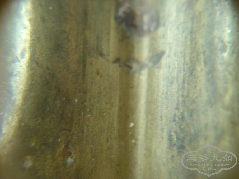 DSC05357.JPG