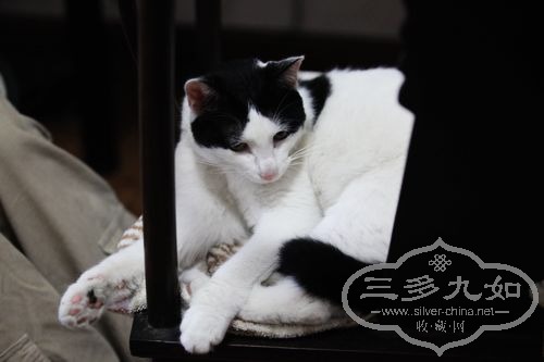 nEO_IMG_IMG_6543.jpg