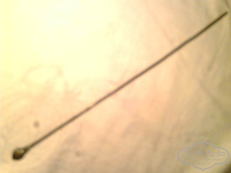 IMG0125A.jpg