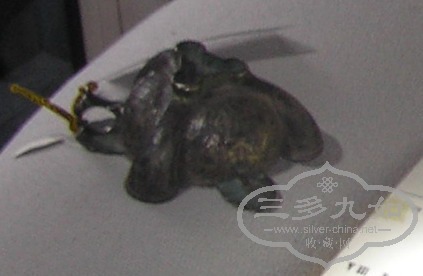 PB030003.JPGstdf.JPG