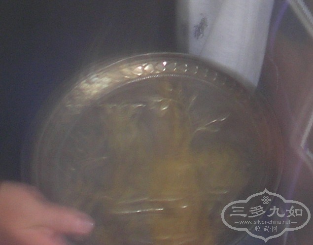 PB030006.JPG