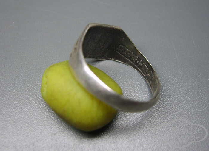 S8000039.JPG