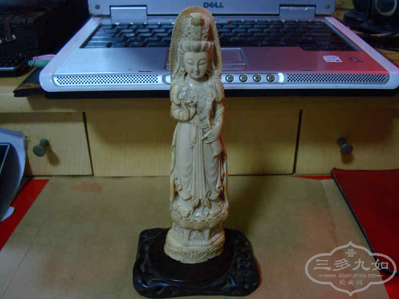 DSC04263.jpg