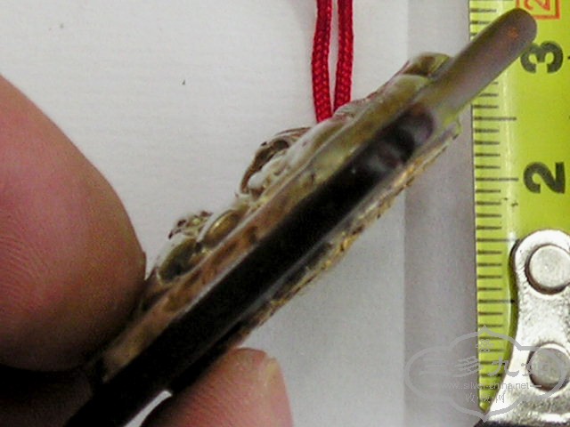 P1010004.jpg