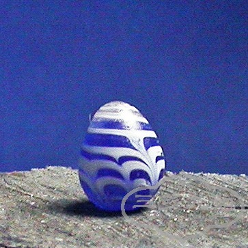 DSCN5211.JPG