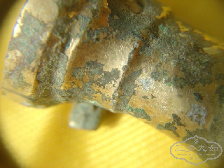 DSC08032.JPG