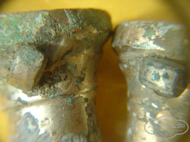 DSC08033.JPG