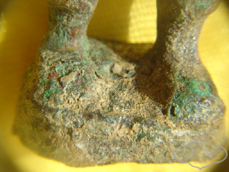 DSC08486.JPG