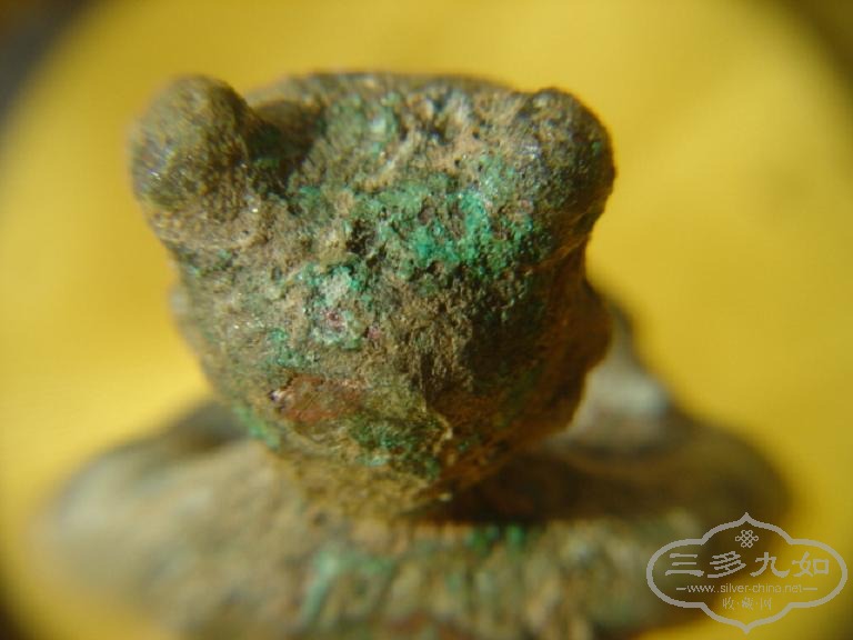 DSC08489.JPG