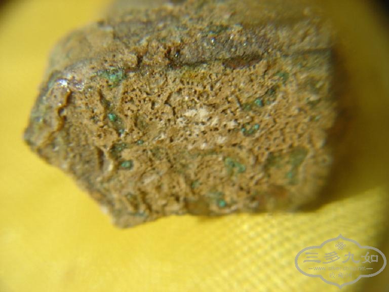 DSC08480.JPG