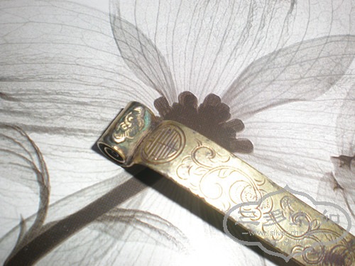 P4040359_.jpg