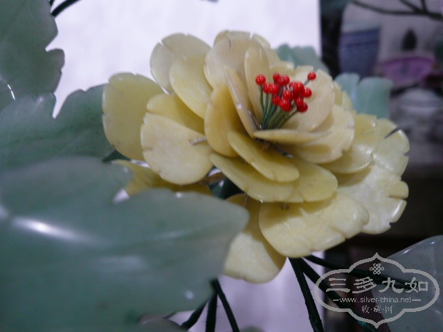P1050215.JPG