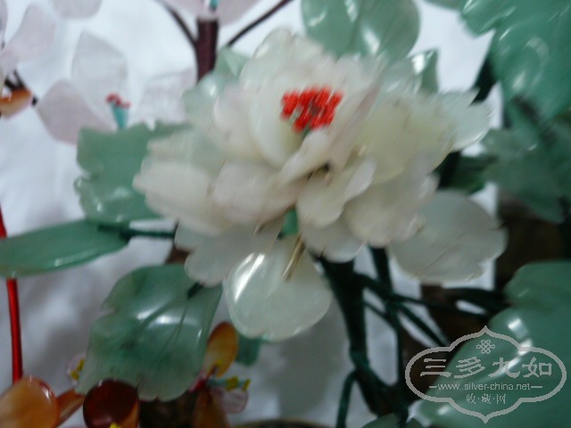 P1050214.JPG