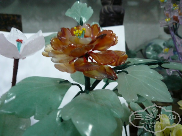 P1050212.JPG