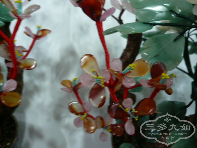 P1050210.JPG