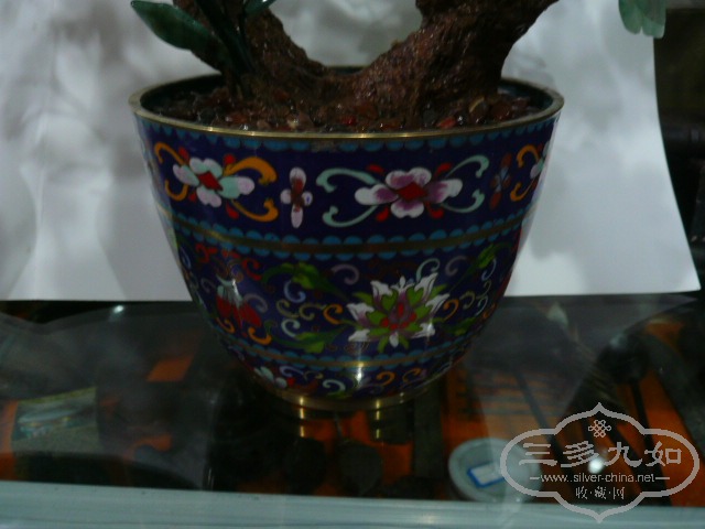 P1050209.JPG