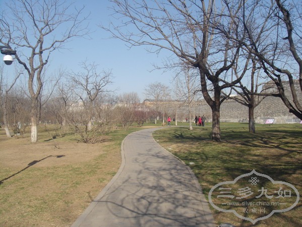 DSC01011.JPG