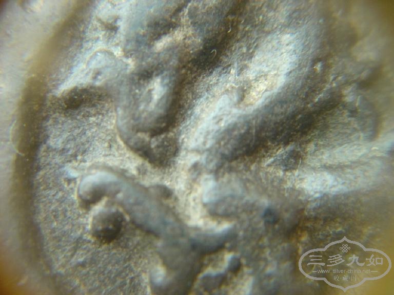 DSC01110.JPG