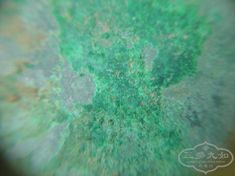 DSC01034.JPG