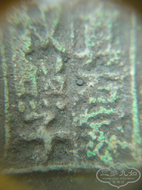 DSC01022.JPG