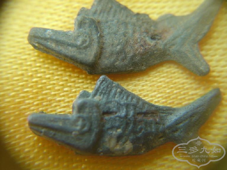 DSC01365.JPG