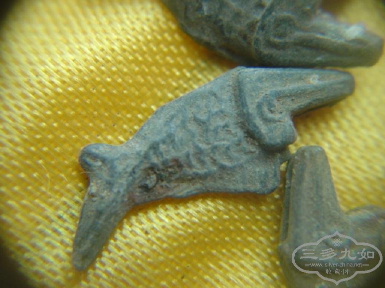 DSC01409.JPG