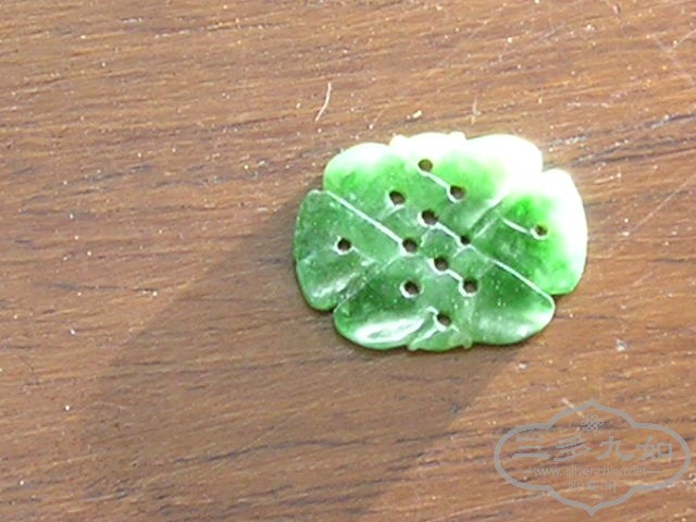 P1010037.JPG