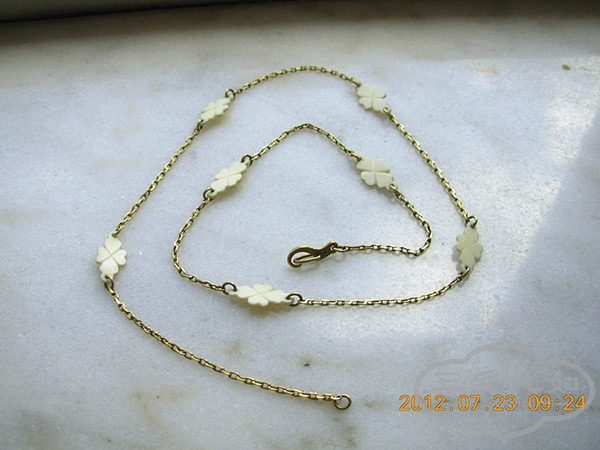 DSCN5130.JPG