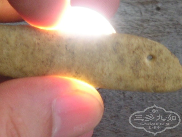 P1010015.JPG