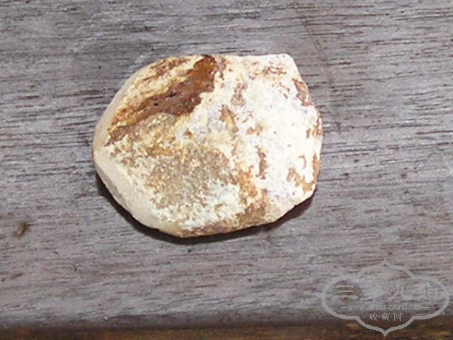 P1010030.JPG