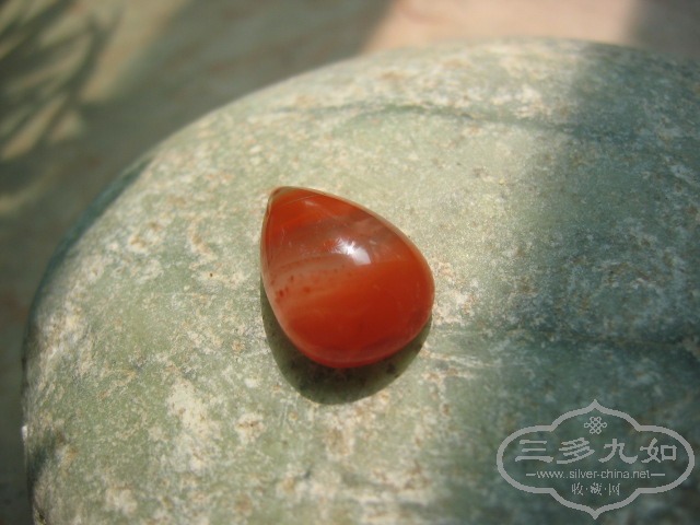 照片 3152.jpg