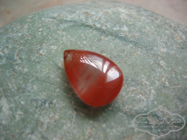照片 3155.jpg