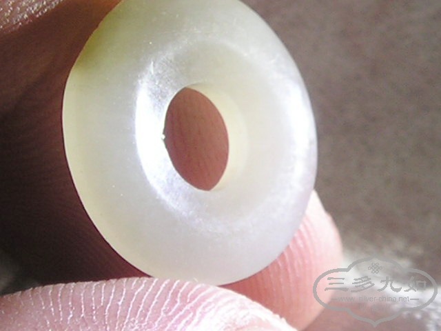 P1010043.jpg