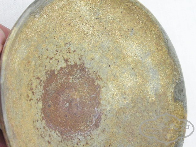 P1010006.jpg