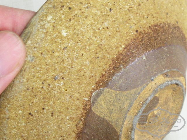 P1010009.jpg