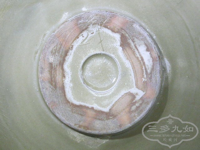 P1010037.jpg