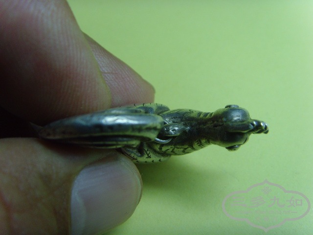 SNV34585.JPG
