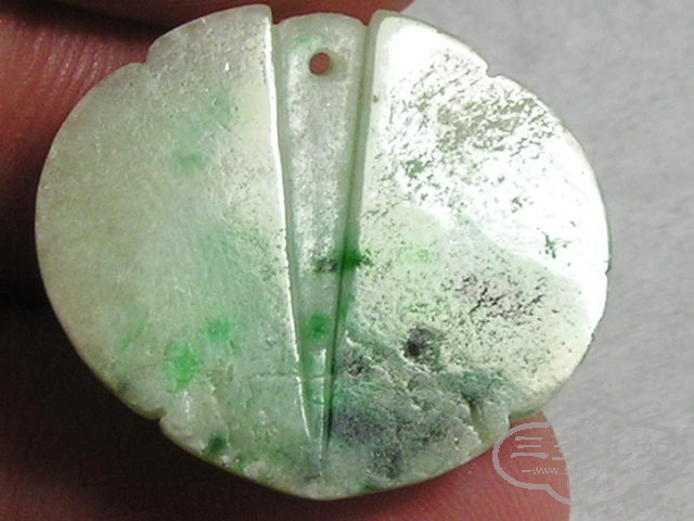 P1010099.jpg