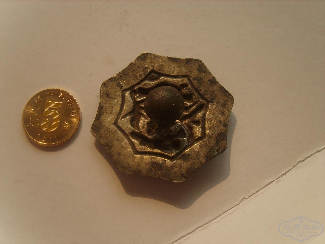 S8302356.JPG