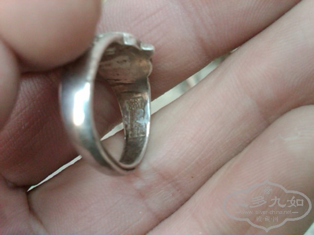 IMG02047-20121207-1547.jpg
