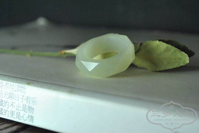 DSC_7462.jpg