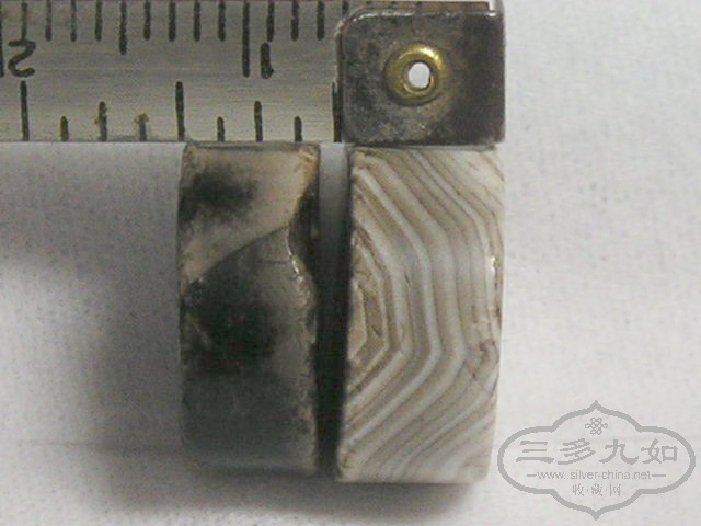 P1010031.jpg