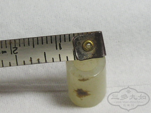 P1010045.jpg