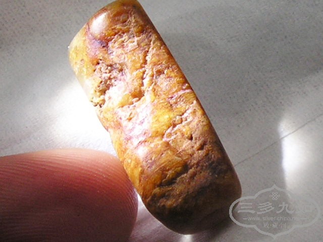P1010071.jpg