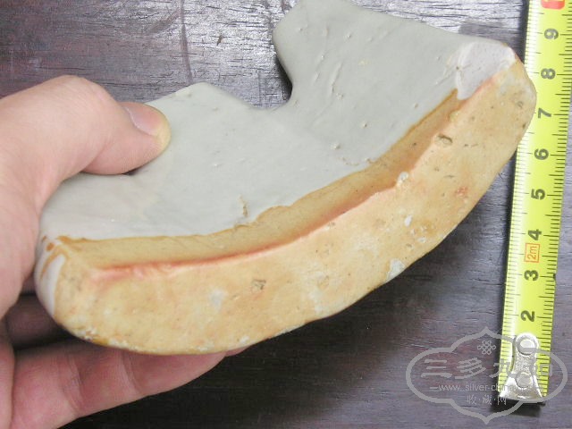 P1010003.jpg
