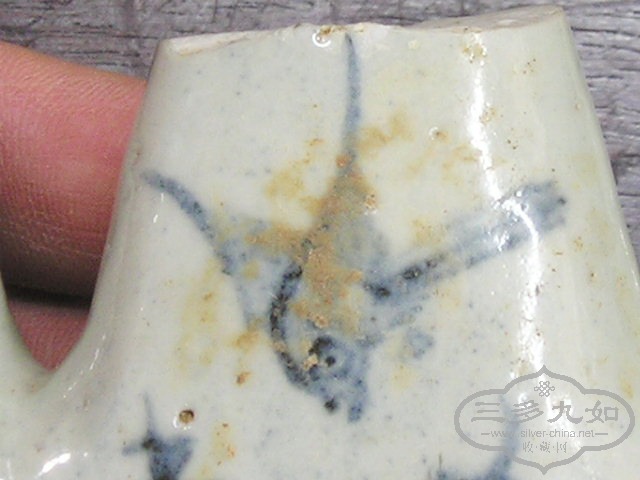 P1010004.jpg