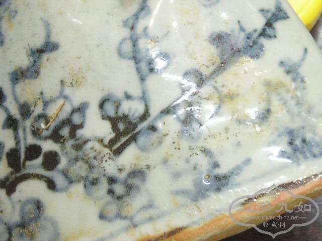 P1010008.jpg