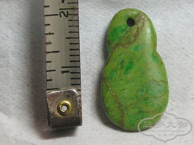 P1010025.jpg