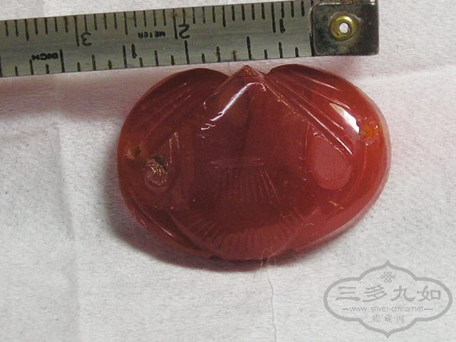 P1010021.jpg